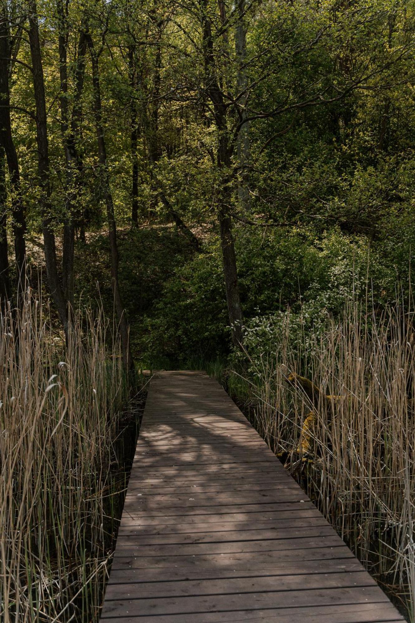 Charszowka Villa Stary Kobrzyniec Bagian luar foto